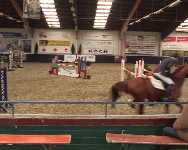 Reitturnier Borken 2016