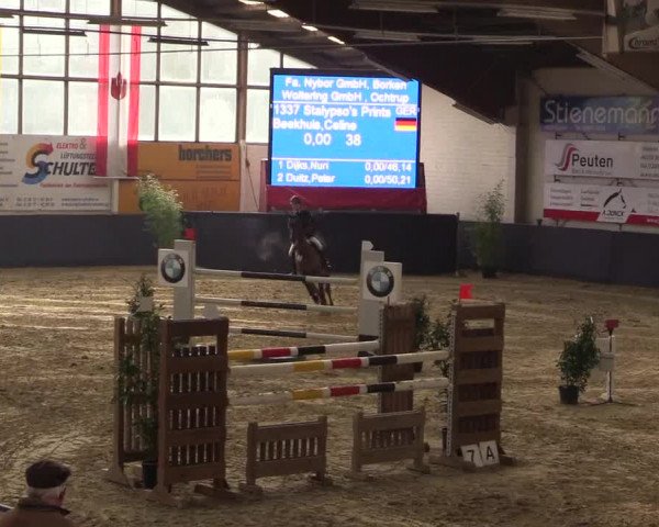 Reitturnier Borken 2016