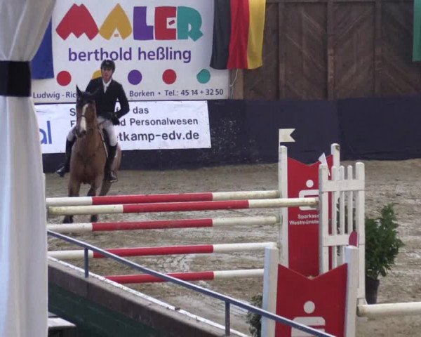 Reitturnier Borken 2016