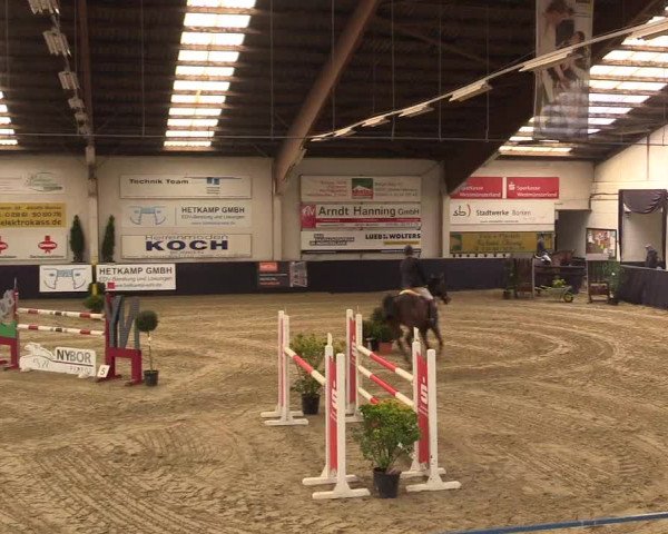 Reitturnier Borken 2016