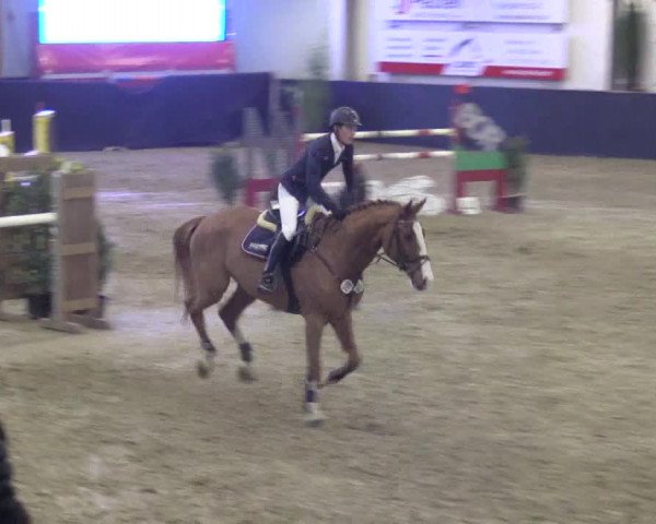 Reitturnier Borken 2016
