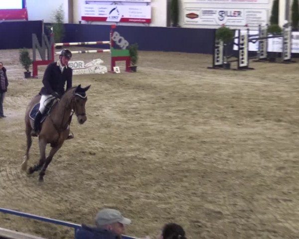 Reitturnier Borken 2016