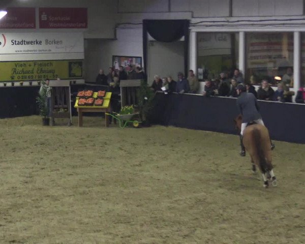 Reitturnier Borken 2016