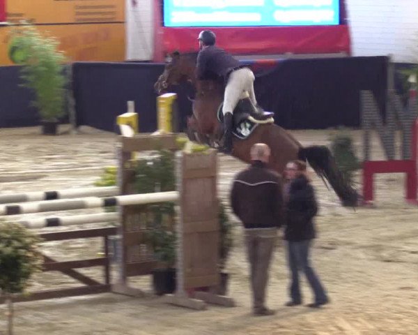 Reitturnier Borken 2016