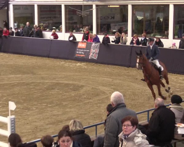 Reitturnier Borken 2016