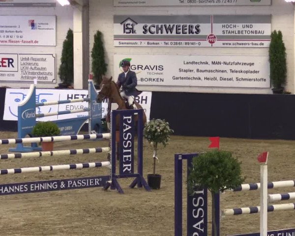 Reitturnier Borken 2016