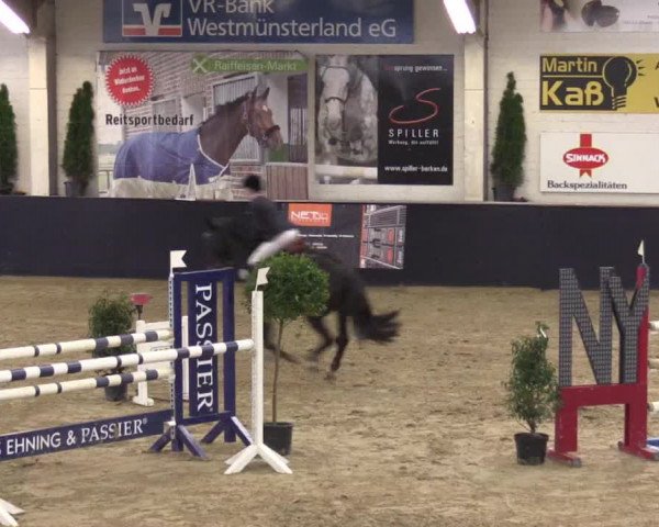 Reitturnier Borken 2016