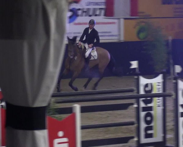 Reitturnier Borken 2016