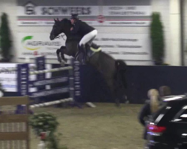 Reitturnier Borken 2016