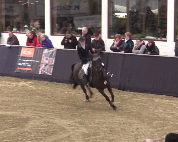 Reitturnier Borken 2016