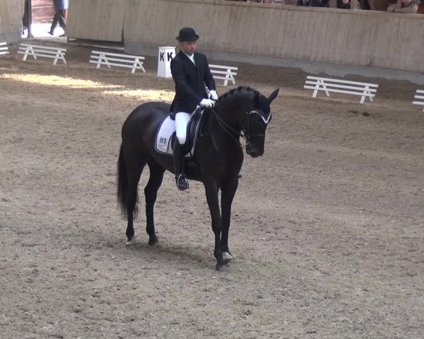 Reitturnier Heidelberg-Kirchheim 2016