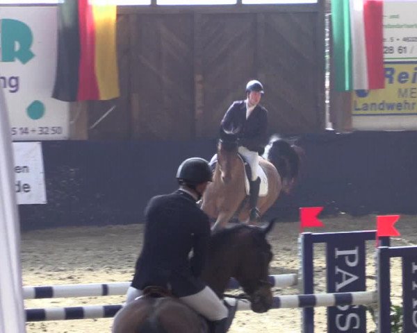 Reitturnier Borken 2016