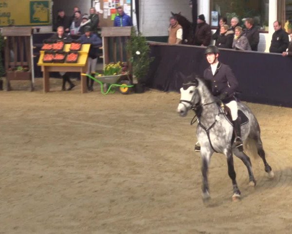 Reitturnier Borken 2016