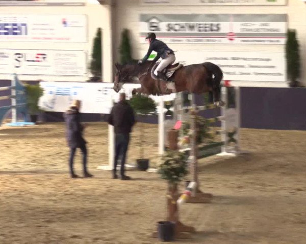 Reitturnier Borken 2016