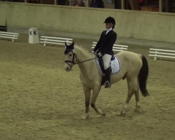 Reitturnier Heidelberg-Kirchheim 2016