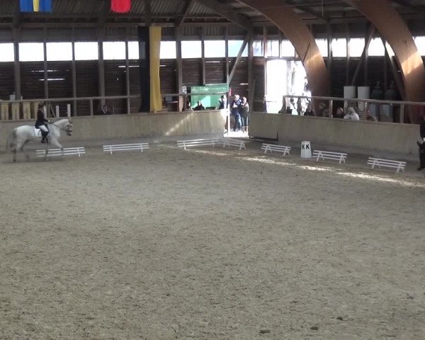 Reitturnier Heidelberg-Kirchheim 2016