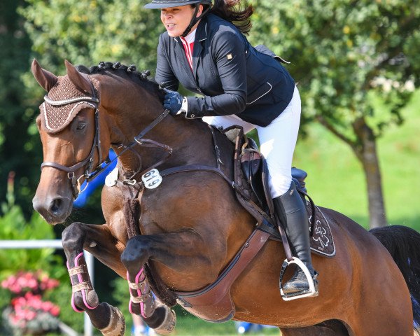 jumper Spengler's Püppi (German Sport Horse, 2013, from Salz der Erde)