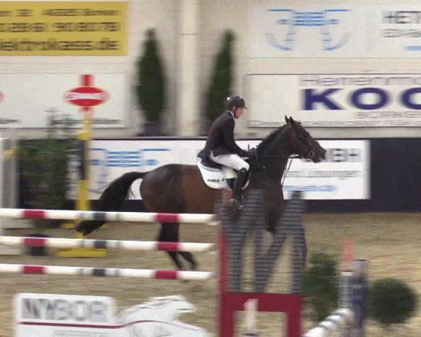 Reitturnier Borken 2016