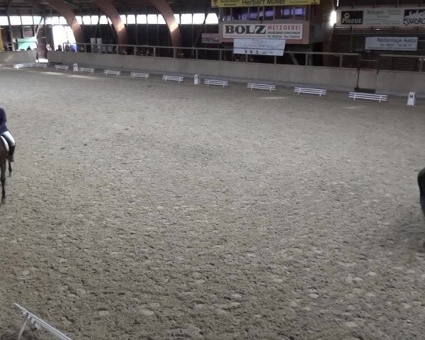 Reitturnier Heidelberg-Kirchheim 2016