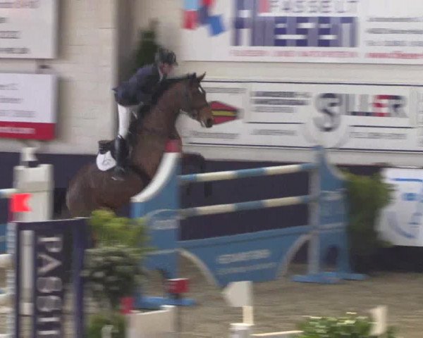Reitturnier Borken 2016