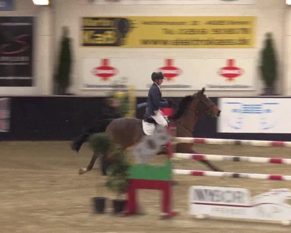 Reitturnier Borken 2016