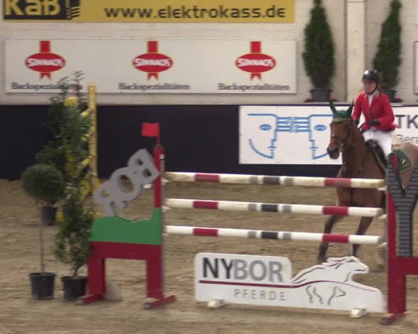 Reitturnier Borken 2016