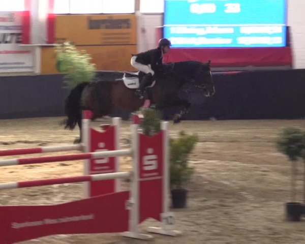 Reitturnier Borken 2016