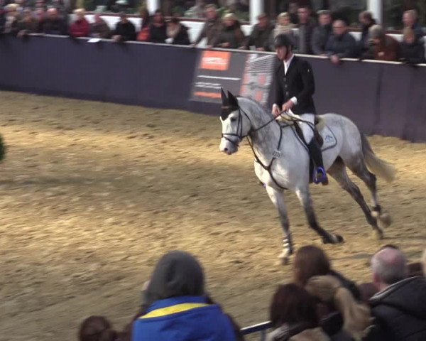 Reitturnier Borken 2016