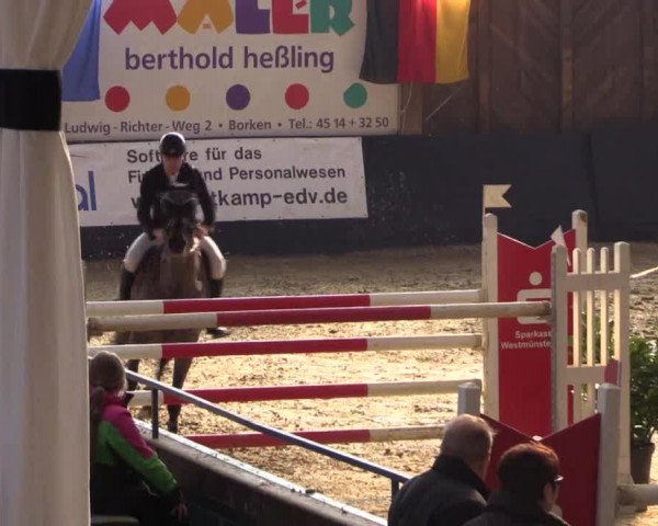 Reitturnier Borken 2016
