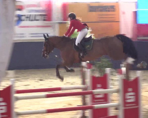 Reitturnier Borken 2016