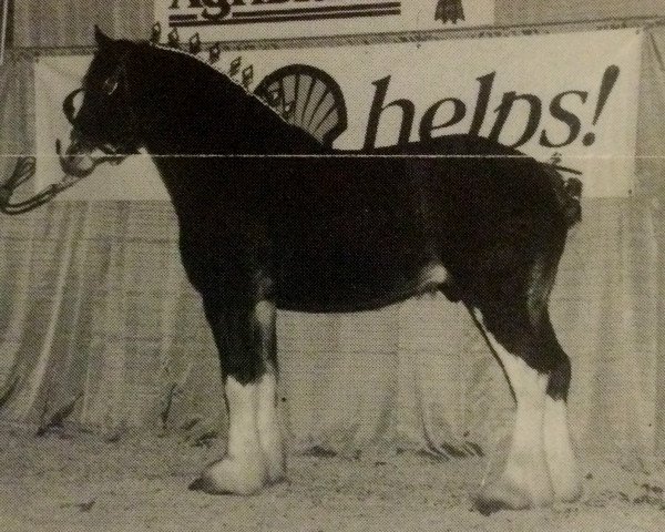 stallion Brunt-Hill Bart (Clydesdale, 1991, from Willoway Pete)
