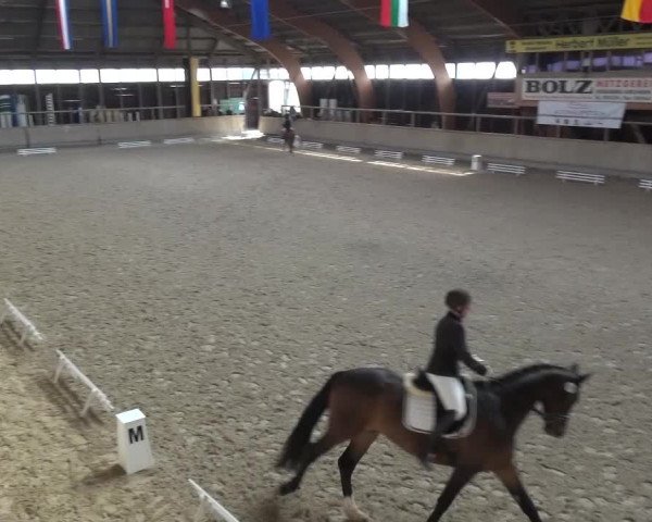 Reitturnier Heidelberg-Kirchheim 2016