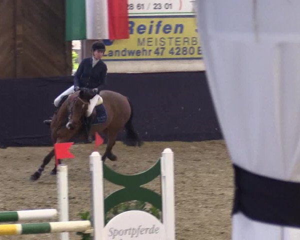 Reitturnier Borken 2016
