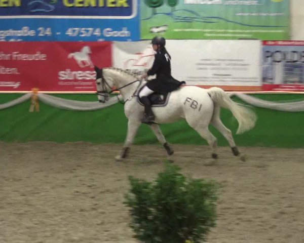 Keppelner Springpferdemeeting 2016