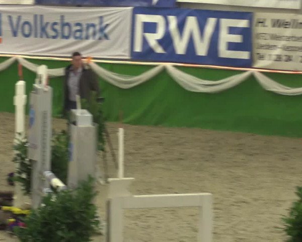 Keppelner Springpferdemeeting 2016