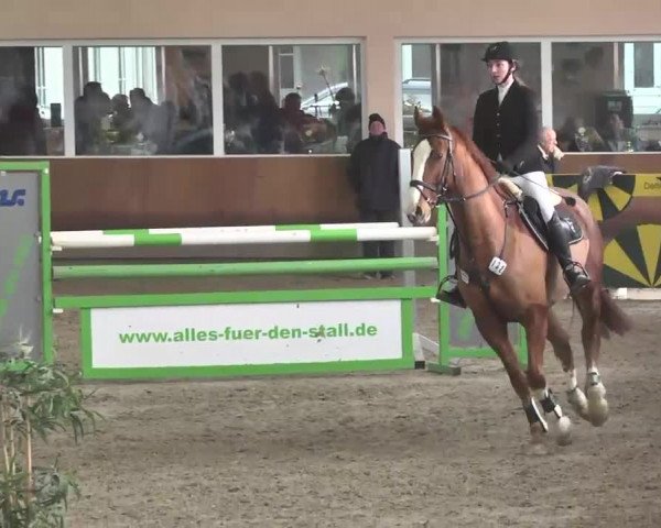 Reitturnier Dettingen 2016
