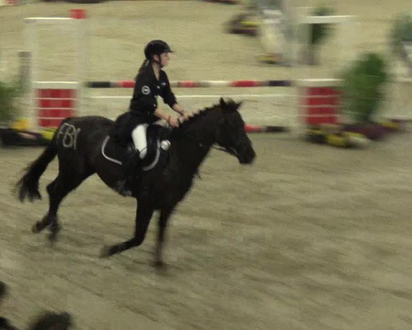 Keppelner Springpferdemeeting 2016