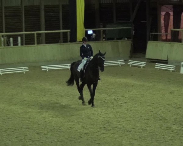 Reitturnier Heidelberg-Kirchheim 2016