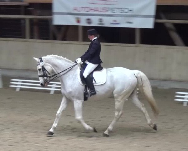 Reitturnier Heidelberg-Kirchheim 2016