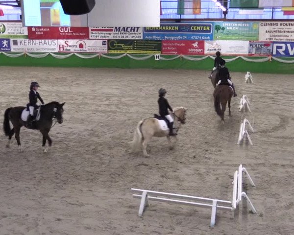 Keppelner Springpferdemeeting 2016