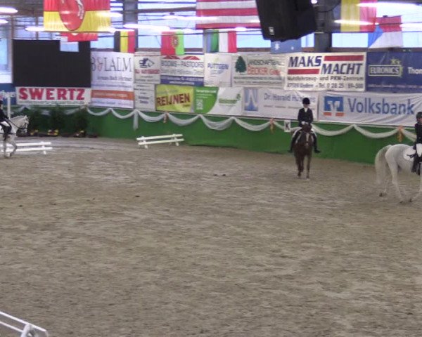 Keppelner Springpferdemeeting 2016