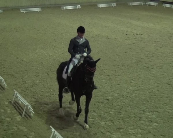 Reitturnier Heidelberg-Kirchheim 2016