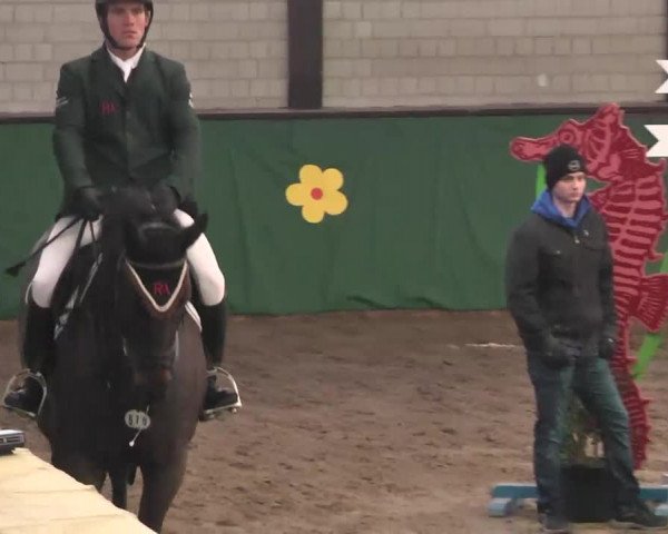 Reitturnier Heilbronn 2016