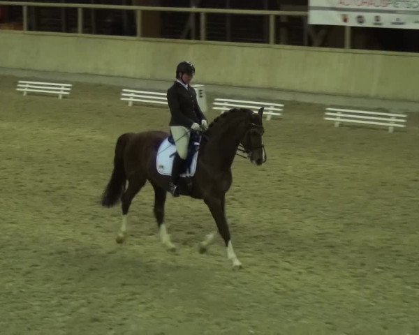 Reitturnier Heidelberg-Kirchheim 2016