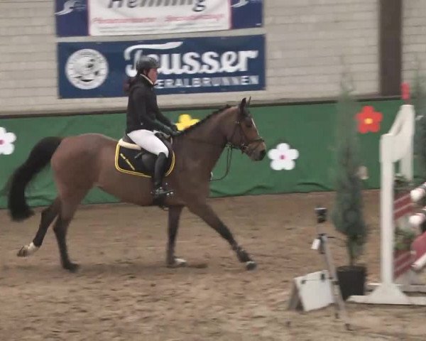 Reitturnier Heilbronn 2016