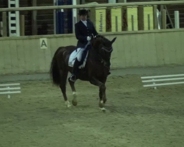 Reitturnier Heidelberg-Kirchheim 2016