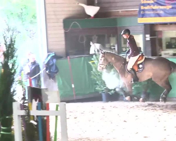 Reitturnier Heilbronn 2016