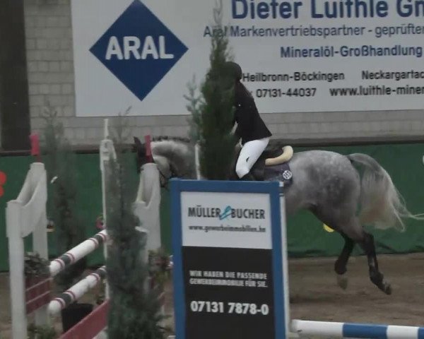 Reitturnier Heilbronn 2016