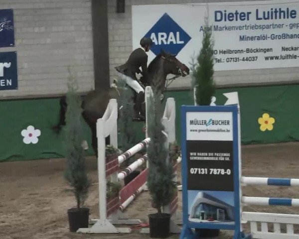 Reitturnier Heilbronn 2016