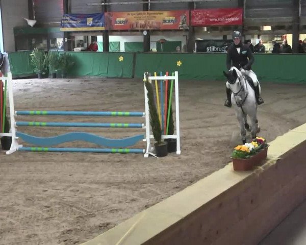 Reitturnier Heilbronn 2016